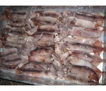 冷冻水产品鱿鱼企业黄页与农副产品销售指南