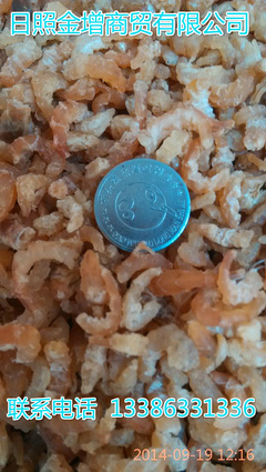 日照金增水产 冷冻带鱼块段工厂直销，优质批发首选