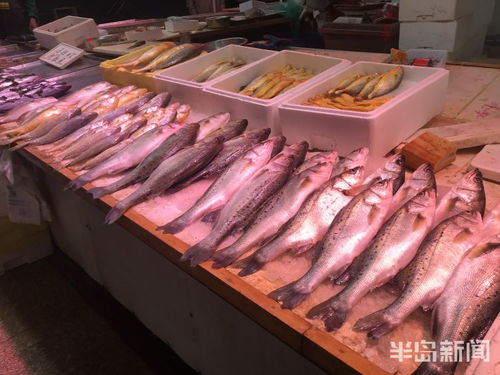 青岛水产品交易遇冷，进口水产停售，市场监管部门严查进货来源