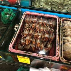 远洋水产冻品批发市场 现代水产品批发的核心枢纽